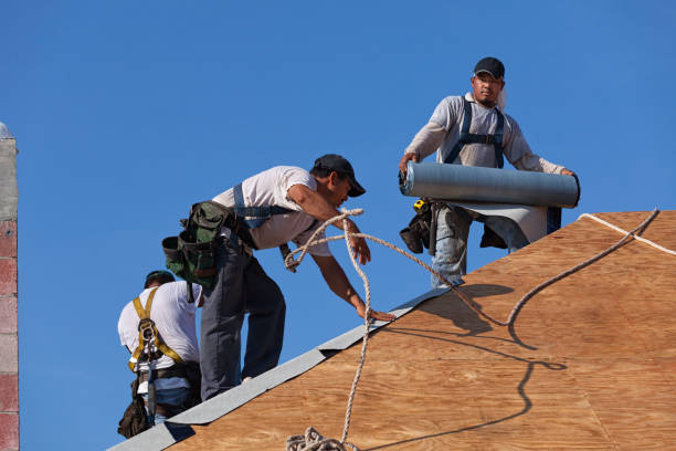 Best Residential Roofing Contractor  in Plainfield, IL
