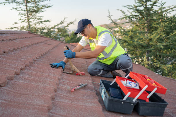 Roof Gutter Cleaning in Plainfield, IL